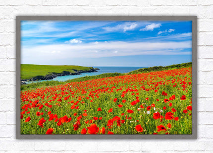 Poppies near PollyJoke beach, Cornwall. Framed picture print with choice of frame colours