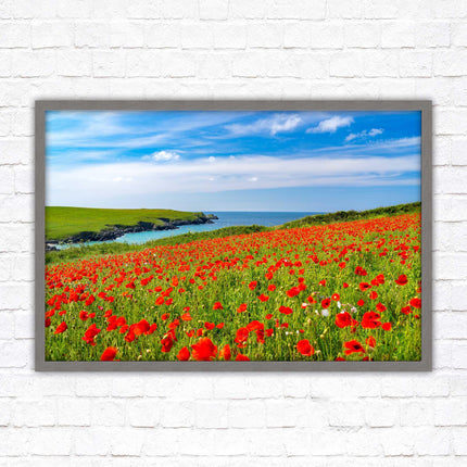 Poppies near PollyJoke beach, Cornwall. Framed picture print with choice of frame colours
