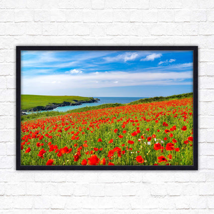 Poppies near PollyJoke beach, Cornwall. Framed picture print with choice of frame colours