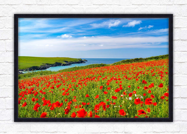 Poppies near PollyJoke beach, Cornwall. Framed picture print with choice of frame colours