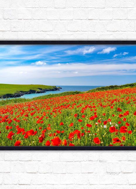 Poppies near PollyJoke beach, Cornwall. Framed picture print with choice of frame colours
