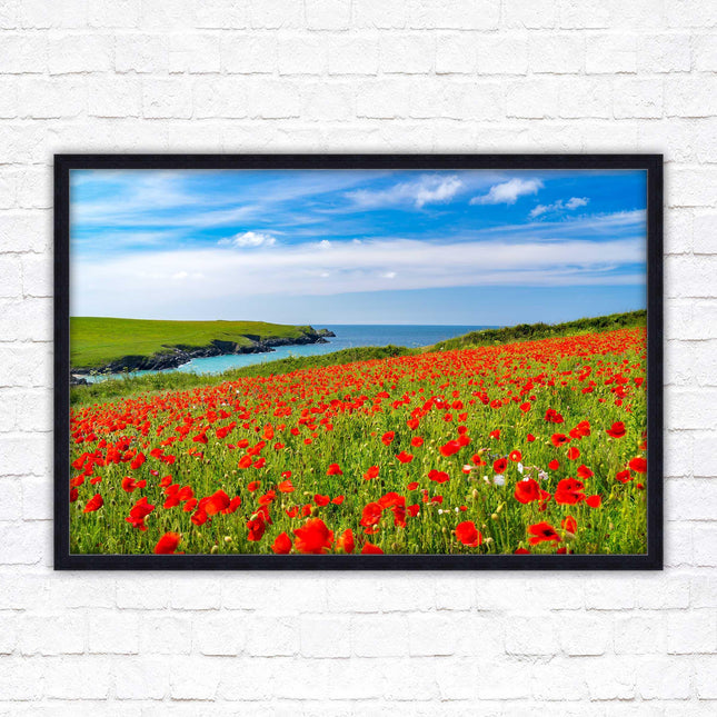 Poppies near PollyJoke beach, Cornwall. Framed picture print with choice of frame colours