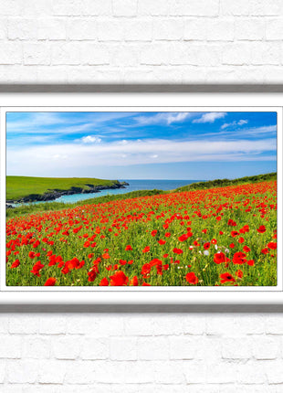 Poppies near PollyJoke beach, Cornwall. Framed picture print with choice of frame colours