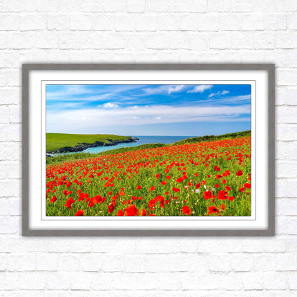 Poppies near PollyJoke beach, Cornwall. Framed picture print with choice of frame colours