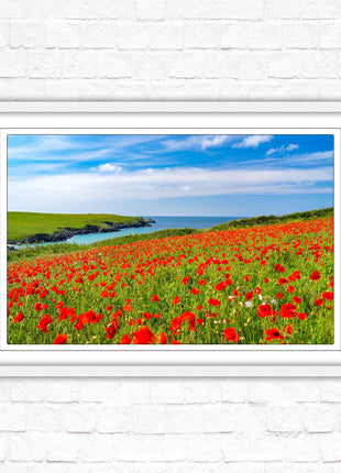 Poppies near PollyJoke beach, Cornwall. Framed picture print with choice of frame colours