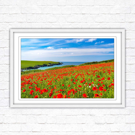 Poppies near PollyJoke beach, Cornwall. Framed picture print with choice of frame colours