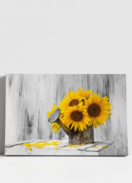 Canvas picture of Sunflowers in Vintage watering can. Printed and framed as a Canvas picture print. Ideal Mothers Day/birthday gift.
