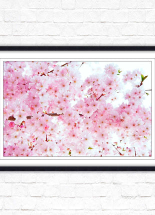 Pink blossom in bloom. Framed floral picture with choice of frame colours