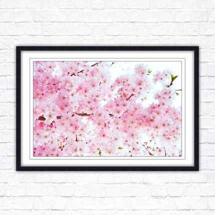 Pink blossom in bloom. Framed floral picture with choice of frame colours