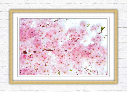 Pink blossom in bloom. Framed floral picture with choice of frame colours