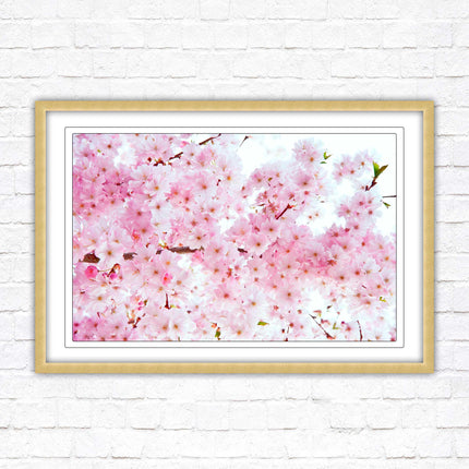 Pink blossom in bloom. Framed floral picture with choice of frame colours