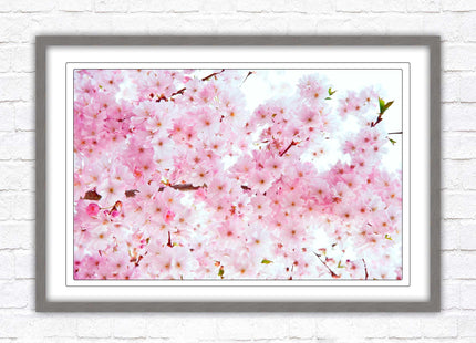 Pink blossom in bloom. Framed floral picture with choice of frame colours
