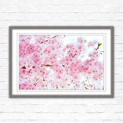 Pink blossom in bloom. Framed floral picture with choice of frame colours