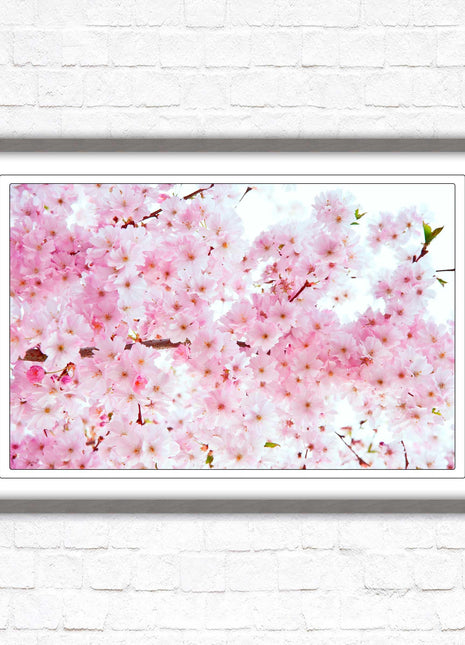 Pink blossom in bloom. Framed floral picture with choice of frame colours