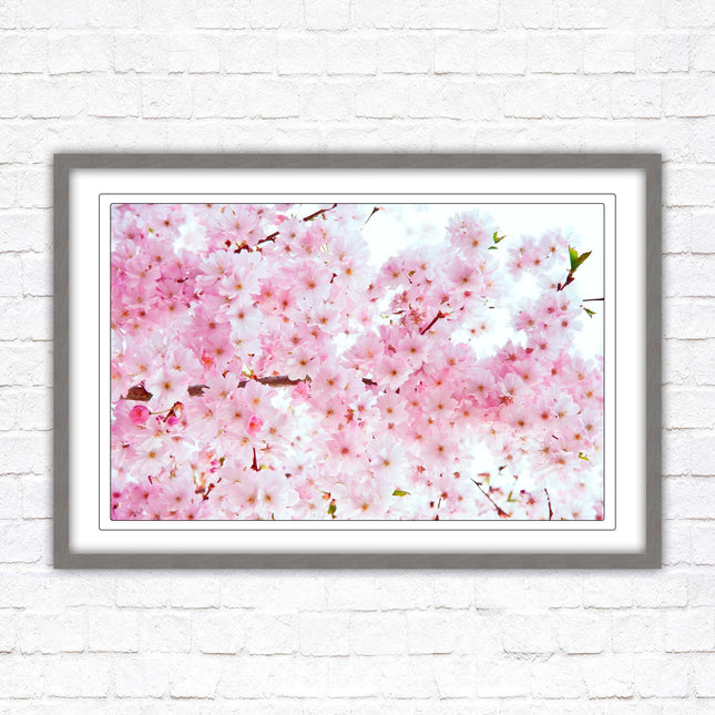 Pink blossom in bloom. Framed floral picture with choice of frame colours