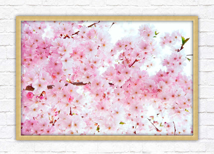Pink blossom in bloom. Framed floral picture with choice of frame colours