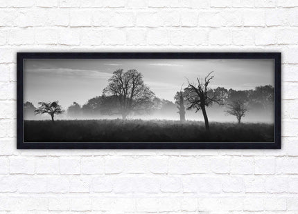 Countryside scenery of a Misty Forest in black and white. Framed picture in a choice of frame colours.