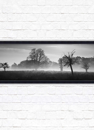 Countryside scenery of a Misty Forest in black and white. Framed picture in a choice of frame colours.
