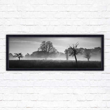Countryside scenery of a Misty Forest in black and white. Framed picture in a choice of frame colours.