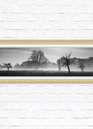 Countryside scenery of a Misty Forest in black and white. Framed picture in a choice of frame colours.