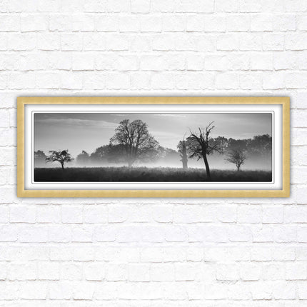 Countryside scenery of a Misty Forest in black and white. Framed picture in a choice of frame colours.