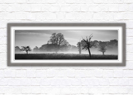 Countryside scenery of a Misty Forest in black and white. Framed picture in a choice of frame colours.