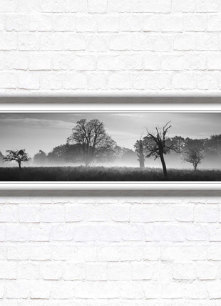 Countryside scenery of a Misty Forest in black and white. Framed picture in a choice of frame colours.