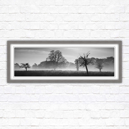 Countryside scenery of a Misty Forest in black and white. Framed picture in a choice of frame colours.