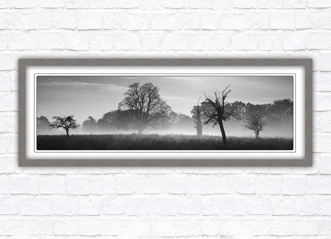 Countryside scenery of a Misty Forest in black and white. Framed picture in a choice of frame colours.