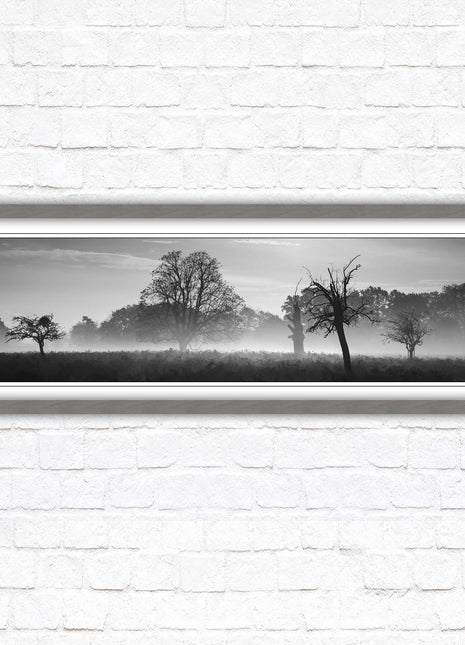 Countryside scenery of a Misty Forest in black and white. Framed picture in a choice of frame colours.