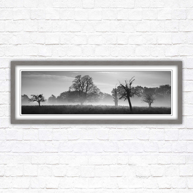 Countryside scenery of a Misty Forest in black and white. Framed picture in a choice of frame colours.