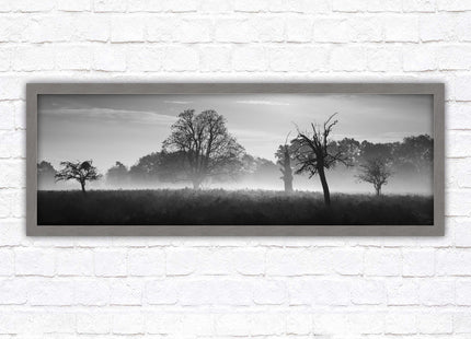 Countryside scenery of a Misty Forest in black and white. Framed picture in a choice of frame colours.