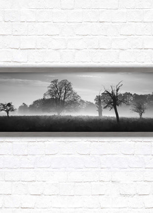 Countryside scenery of a Misty Forest in black and white. Framed picture in a choice of frame colours.