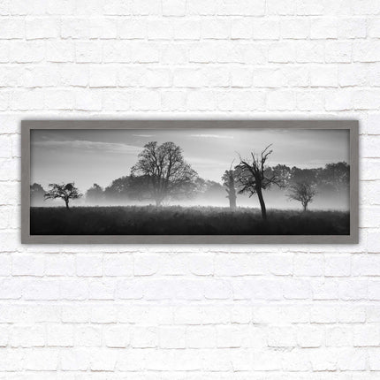 Countryside scenery of a Misty Forest in black and white. Framed picture in a choice of frame colours.