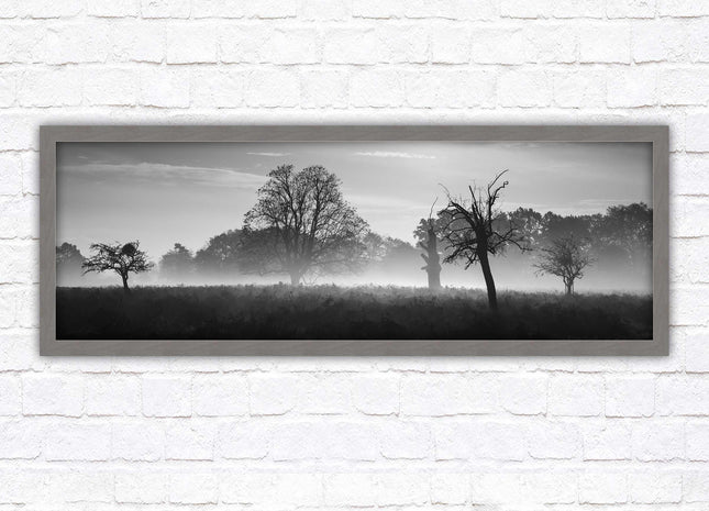 Countryside scenery of a Misty Forest in black and white. Framed picture in a choice of frame colours.
