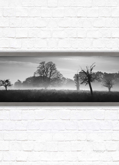 Countryside scenery of a Misty Forest in black and white. Framed picture in a choice of frame colours.