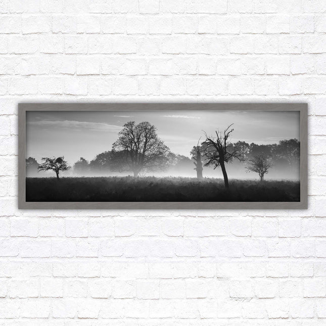 Countryside scenery of a Misty Forest in black and white. Framed picture in a choice of frame colours.