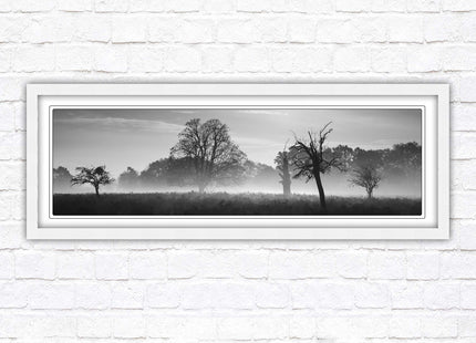 Countryside scenery of a Misty Forest in black and white. Framed picture in a choice of frame colours.