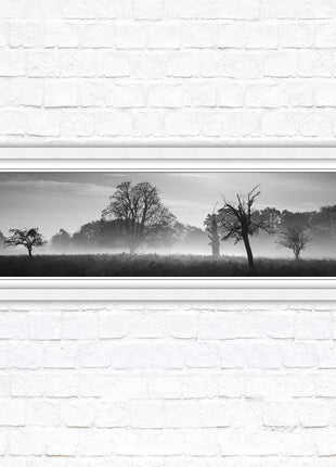 Countryside scenery of a Misty Forest in black and white. Framed picture in a choice of frame colours.