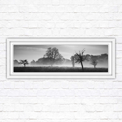 Countryside scenery of a Misty Forest in black and white. Framed picture in a choice of frame colours.