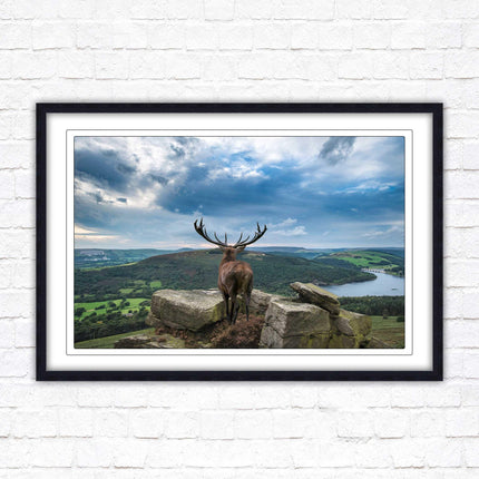 Majestic Stag overlooking the countryside. Framed picture with choice of frame colours and options.