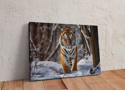 Canvas picture. Tiger in snow covered forest. Stunning majestic Wildlife image. Canvas picture print, landscape.