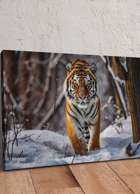 Canvas picture. Tiger in snow covered forest. Stunning majestic Wildlife image. Canvas picture print, landscape.