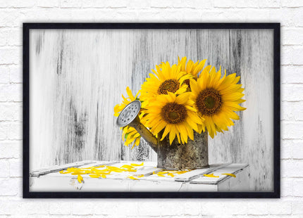 Sunflowers printed in frame rustic watering can. Framed picture with choice of frame colours frame included
