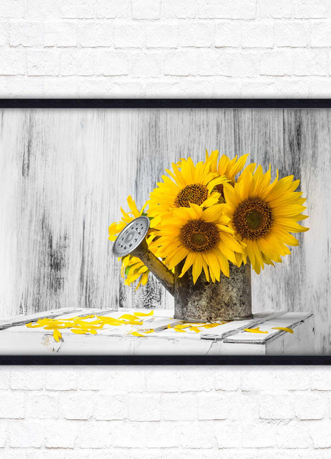 Sunflowers printed in frame rustic watering can. Framed picture with choice of frame colours frame included
