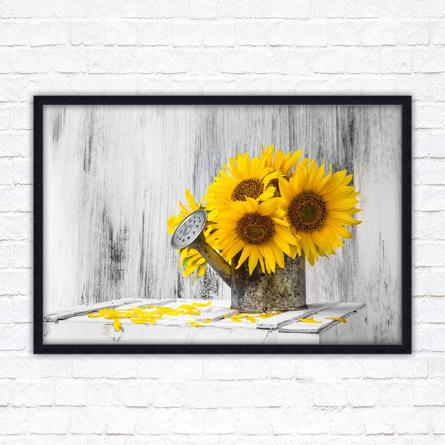 Sunflowers printed in frame rustic watering can. Framed picture with choice of frame colours frame included