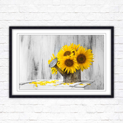 Sunflowers printed in frame rustic watering can. Framed picture with choice of frame colours frame included