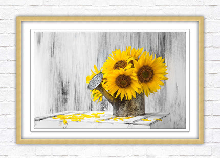 Sunflowers printed in frame rustic watering can. Framed picture with choice of frame colours frame included