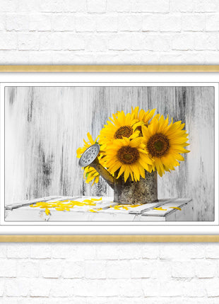 Sunflowers printed in frame rustic watering can. Framed picture with choice of frame colours frame included