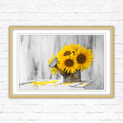Sunflowers printed in frame rustic watering can. Framed picture with choice of frame colours frame included